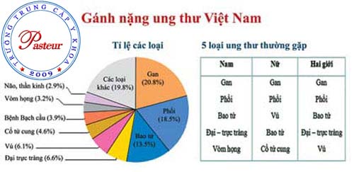 Tỉ lệ ung thư tại Việt Nam