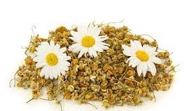 Hoa cúc khô – vừa tốt cho sức khỏe vừa đẹp da các bạn đã biết chưa? hoa cúc khô