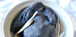 Gà ác món ăn bổ dưỡng – bài thuốc danh bất hư truyền