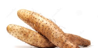 Củ mài có thể chế biến thành món ăn bài thuốc rất bổ dưỡng