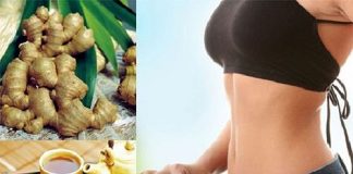 Tuyệt chiêu giảm cân cho chị em phụ nữ bằng gừng hiệu quả