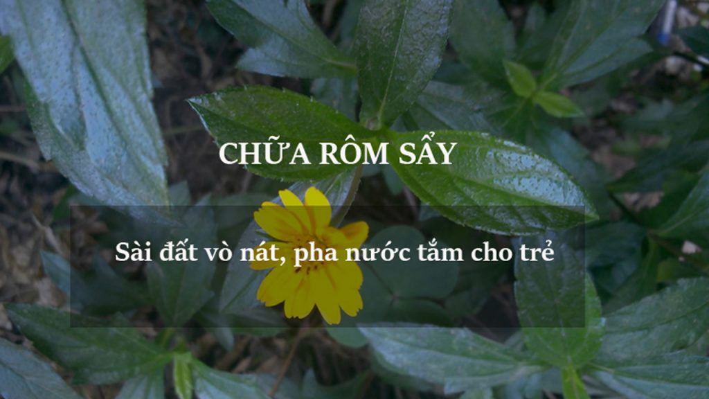 chua rom say