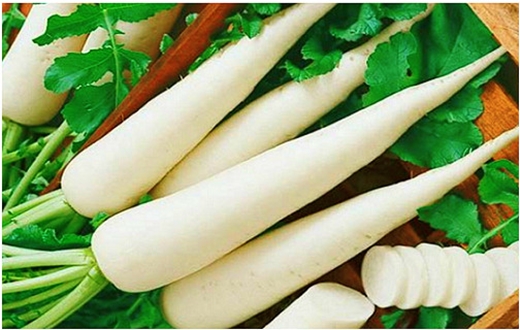 Củ cải trắng là món ăn phổ biến trong bữa ăn người Việt 