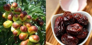 Mách bạn những bài thuốc Đông y làm đẹp giúp da trắng hồng