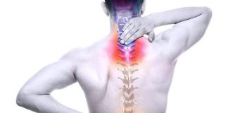 Bài thuốc hỗ trợ điều trị loãng xương hiệu quả