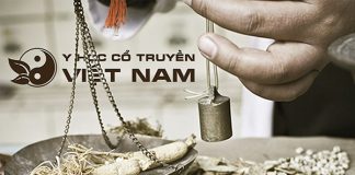 Bài thuốc Đông y phòng ngừa và hỗ trợ điều trị sốt rét
