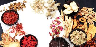 Những món ăn bài thuốc đông y giúp bổ thận hiệu quả