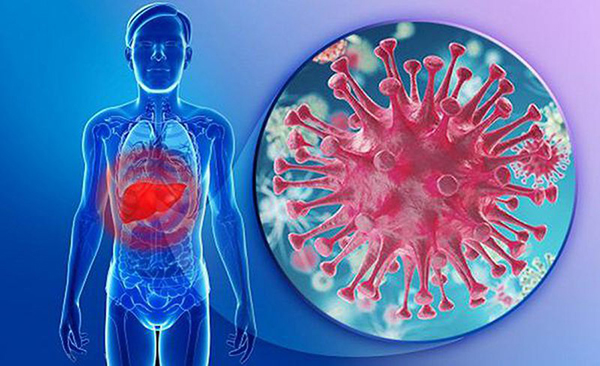 Viêm gan virus cần được điều trị sớm và đúng cách